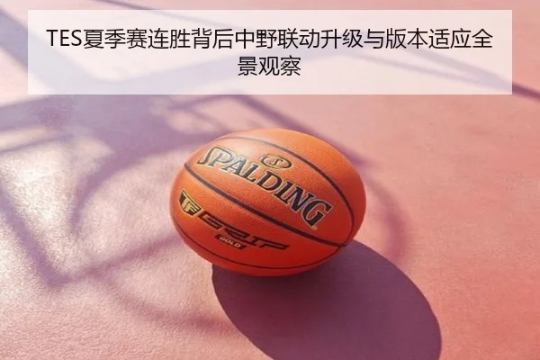 TES夏季赛连胜背后中野联动升级与版本适应全景观察